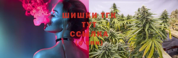 СК Богданович