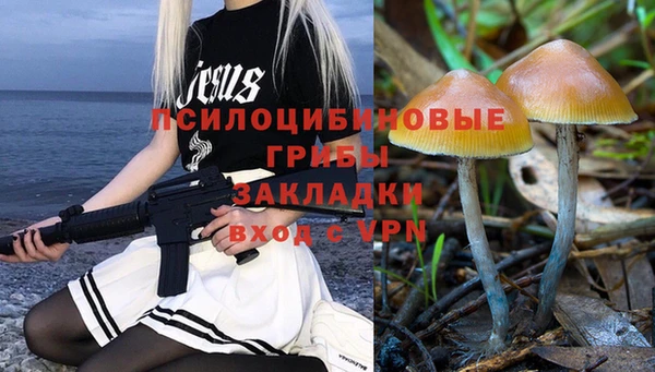 амфетамин Богородицк