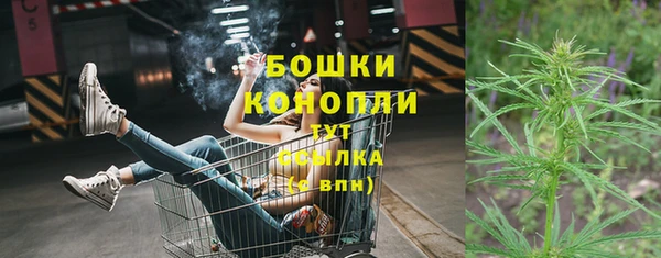 mdpv Богородск