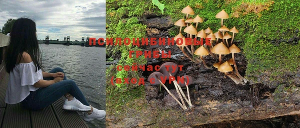 амфетамин Богородицк